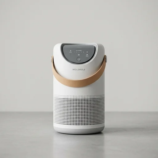 Molekule Air Mini (PECO Air Purifier)